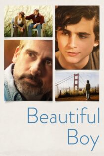 دانلود فیلم Beautiful Boy 2018 پسر زیبا