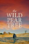 دانلود فیلم The Wild Pear Tree 2018 درخت گلابی وحشی