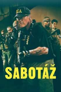 دانلود فیلم Sabotage 2014 سابوتاژ